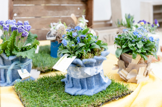 HOME blumen DAMM Bad Homburg OberEschbach