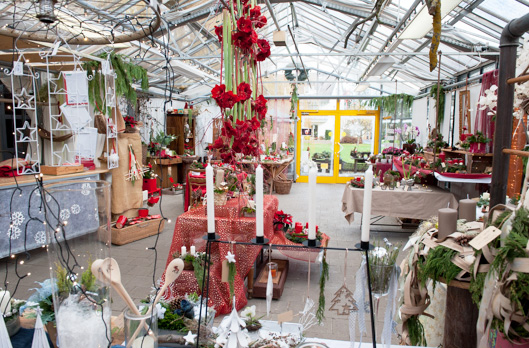 HOME blumen DAMM Bad Homburg OberEschbach