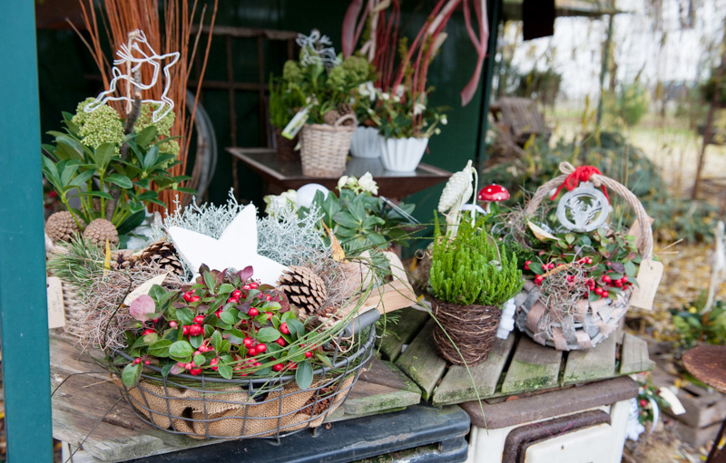 Blumen Bauer Bad Homburg